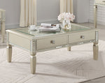 Adina Silver Wood/Glass Coffee Table