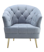 Bayram Light Gray Velvet Chair