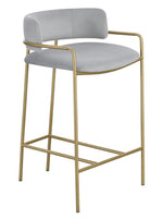 Charlie Grey Velvet/Gold Finish Metal Counter Height Stool