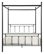 Chelone Black Metal Queen Canopy Bed