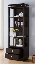 Clotilde Red Cocoa Wood 2-Drawer Bookcase