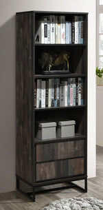 Fatmire Rustic Gray Wood Bookcase