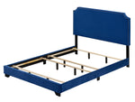 Haemon Blue Fabric Upholstered Queen Bed