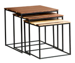 Kailani 3-Pc Natural Wood/Black Metal Nesting Table Set