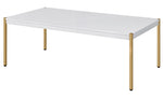 Otrac White Wood/Gold Metal Coffee Table