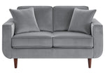 Rand Gray Velvet Fabric Loveseat