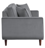 Rand Gray Velvet Fabric Loveseat