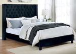 Ryleigh Black Velvet-like Fabric Cal King Bed