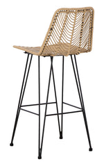 Angentree 2 Natural Resin Fiber/Black Steel Bar Stools