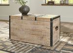 Dartland Whitewash Wood Storage Trunk