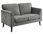 Tolley Gray Velvet Fabric Loveseat