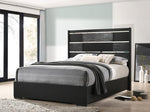 Blacktoft Contemporary Black Wood King Panel Bed