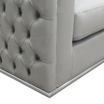 Envy Platinum Grey Velvet Loveseat