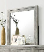 Alyx Contemporary Grey Wood/Glass Dresser Mirror