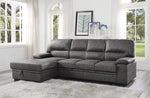 Michigan 2-Pc Dark Gray LAF Sectional with Pull-Out Bed