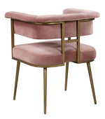 Astrid Blush Velvet/Antique Brass Iron Counter Height Stool