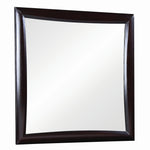 Phoenix Cappuccino Wood Frame Dresser Mirror