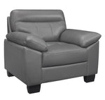 Denizen Modern Dark Gray Leather Chair