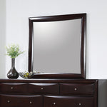 Phoenix Cappuccino Wood Frame Dresser Mirror