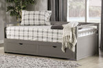 Nancy Gray Wood Twin Daybed with Trundle