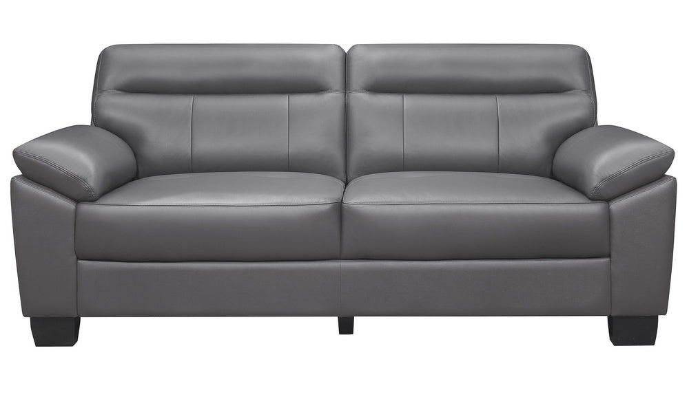 Denizen Modern Dark Gray Leather 2-Seat Sofa