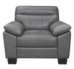 Denizen Modern Dark Gray Leather Chair