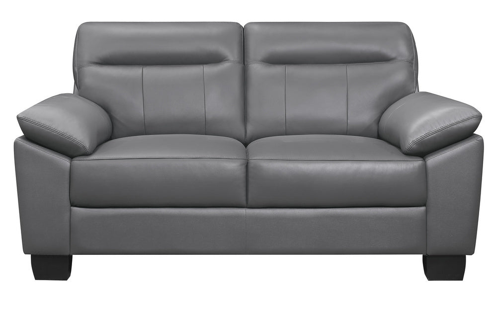 Denizen Modern Dark Gray Leather Loveseat