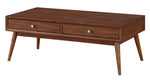 Frolic Brown Wood 2-Drawer Cocktail Table