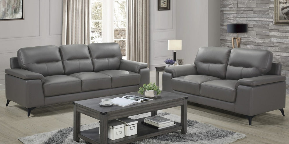 Mischa 2-Pc Dark Gray Top Grain Leather Sofa Set