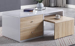 Verux White High Gloss Wood Coffee Table with 2 Drawers