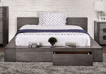 Janeiro Gray King Storage Bed (Oversized)