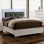 Clementine Contemporary Queen Bed w/LED Lights