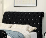 Noella Glam Black Flannelette Cal King Bed