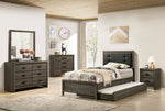 Roanne Gray Wood Twin Bed with Trundle