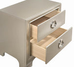 Salford Metallic Sterling Wood 2-Drawer Nightstand