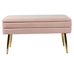 Ziva Blush Velvet Storage Bench