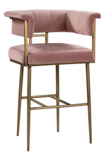 Astrid Blush Velvet/Antique Brass Iron Bar Chair