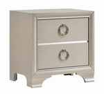 Salford Metallic Sterling Wood 2-Drawer Nightstand