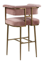 Astrid Blush Velvet/Antique Brass Iron Bar Chair