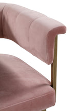 Astrid Blush Velvet/Antique Brass Iron Bar Chair