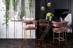 Astrid Blush Velvet/Antique Brass Iron Bar Chair